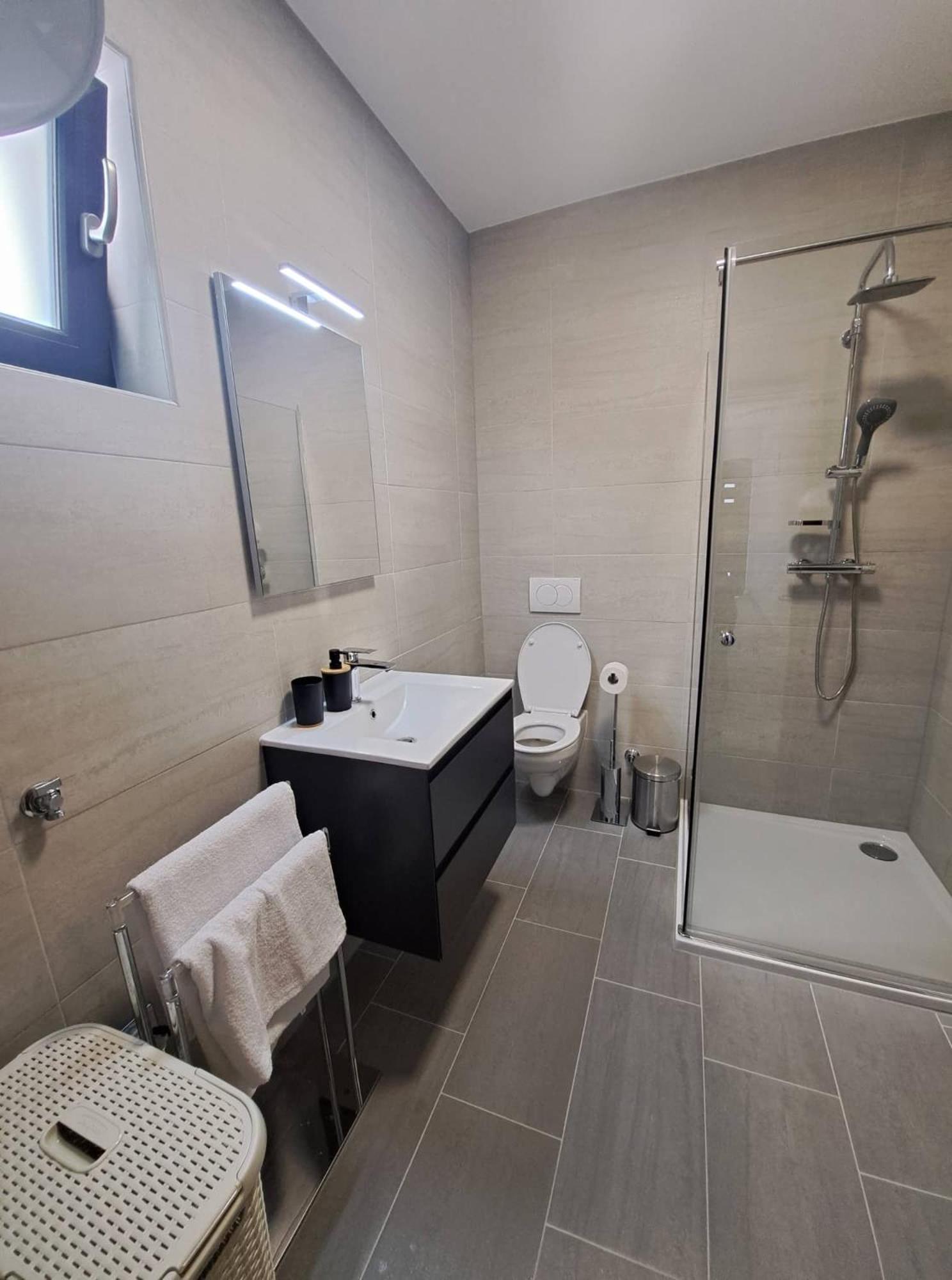 Apartment Leptiric Vir